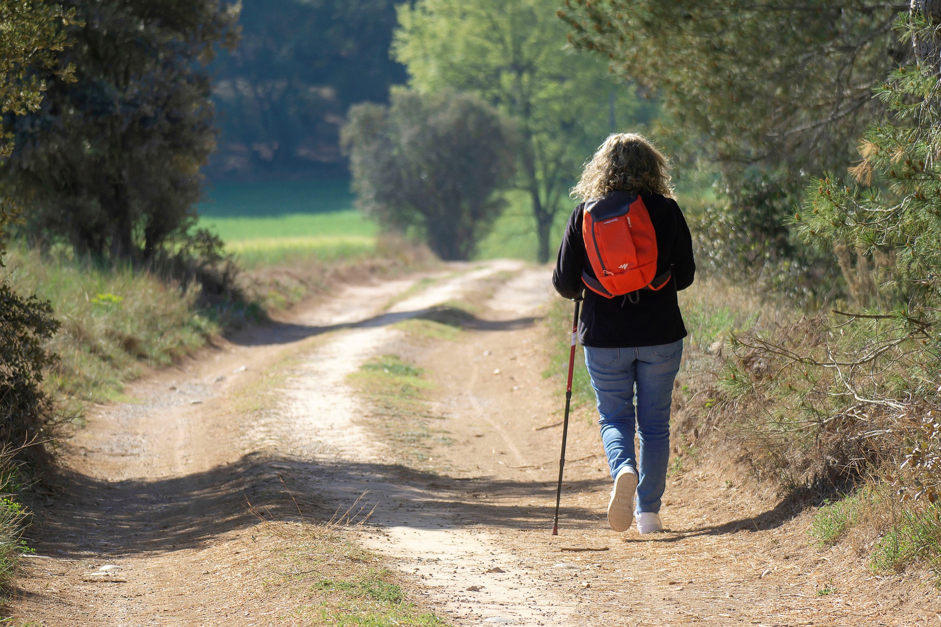 Pontania’s eigen wandeltocht