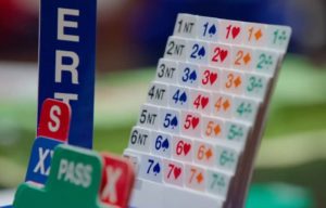 Puzzel mee met de ladder van januari-maart